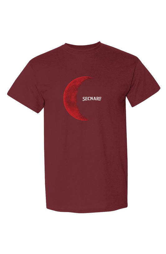 DryBlend® T-Shirt Secnarf 2